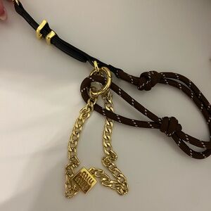Gold and Brown Chain Necklace